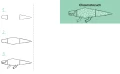pol_pl_wydawnictwo_KROPKA_Umiem_rysowac_dinozaury (1).webp