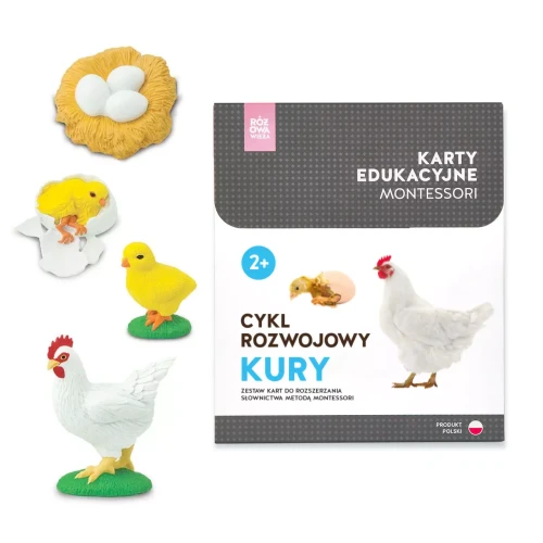 pol_pl_rozowa_wieza_karty_montesorii_cykl_rozwojowy_kury (3).webp