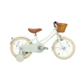 pol_pl__banwood-rowerek-classic-pale-mint (4).webp