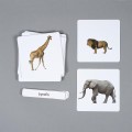 Różowa_Wieża_Karty_edukacyjne_Zwierzęta_Afryki_memory
