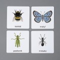Różowa_Wieża_Karty_edukacyjne_Owady_figurki
