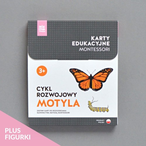 Różowa_Wieża_Karty_edukacyjne_Cykl_rozwojowy_motyla_figurki