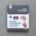 Różowa_Wieża_Karty_edukacyjne_Narządy_wewnętrzne_człowieka