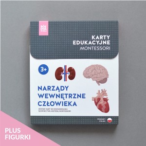 RÓŻOWA WIEŻA - Karty edukacyjne - Narządy wewnętrzne człowieka + figurki