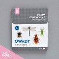 Różowa_Wieża_Karty_edukacyjne_Owady_figurki