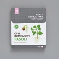 Różowa_Wieża_Karty_edukacyjne_Cykl_rozwojowy_fasoli