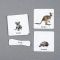 Różowa_Wieża_Karty_edukacyjne_Zwierzęta_Australii_memory