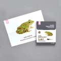 Różowa_Wieża_Karty_edukacyjne_Cykl_rozwojowy_żaby_figurki
