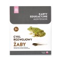 Różowa_Wieża_Karty_edukacyjne_Cykl_rozwojowy_żaby