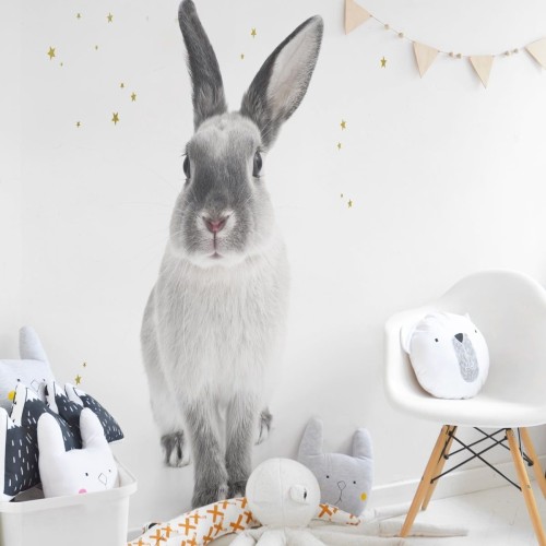 716b24800e44195ffe3e66bec64a5542