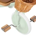 pol_pl_BANWOOD_Rowerek_trójkołowy_Trike_Pale_Mint